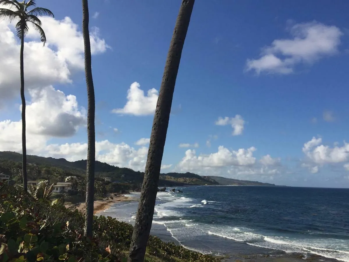 Calabash Hotel Saint Peter Holiday home